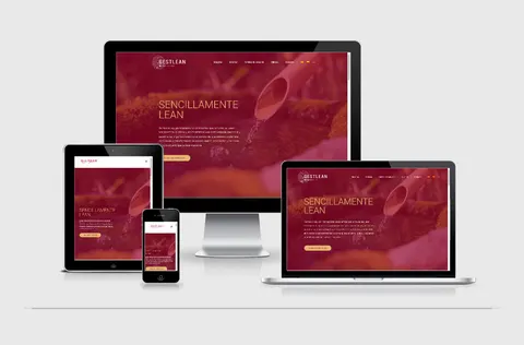 Gestlean consulting