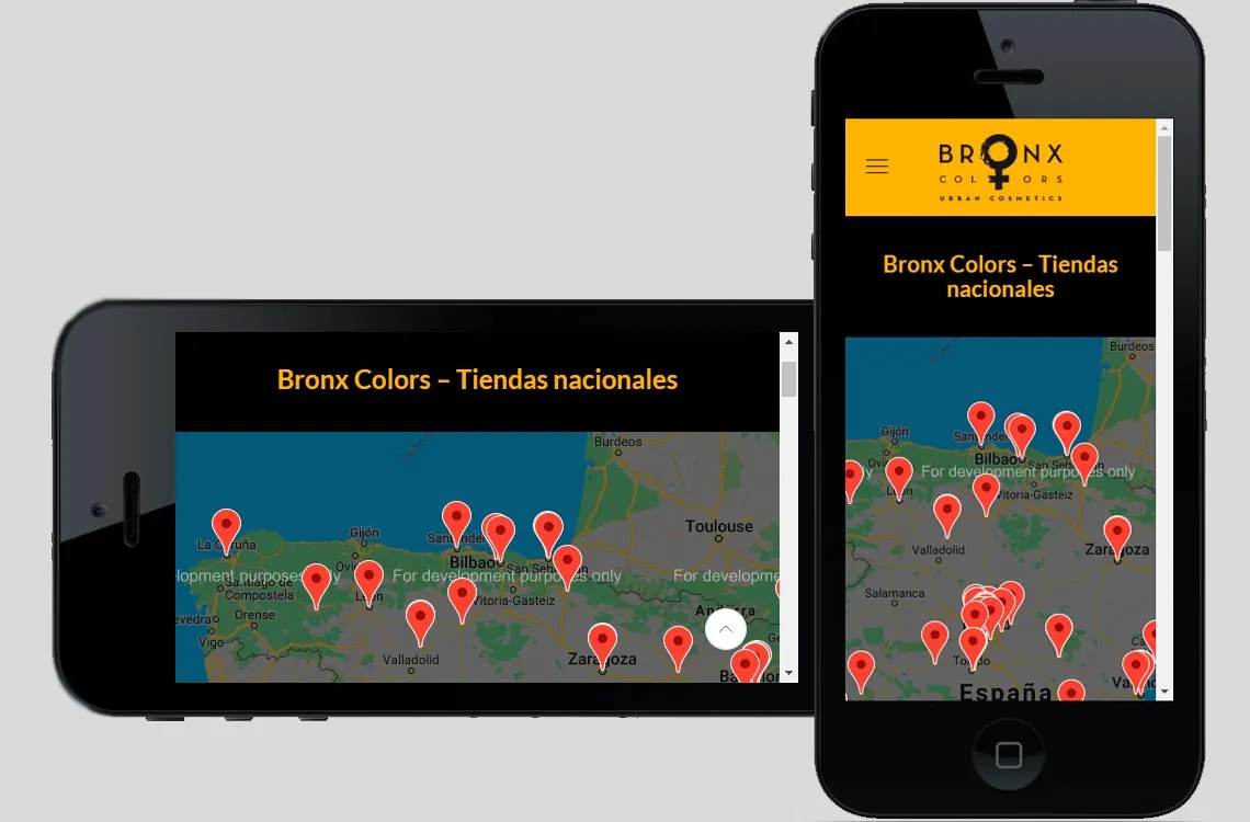 estructura corporativa bronx colors
