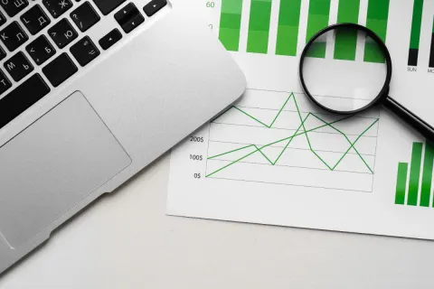 Optimización web